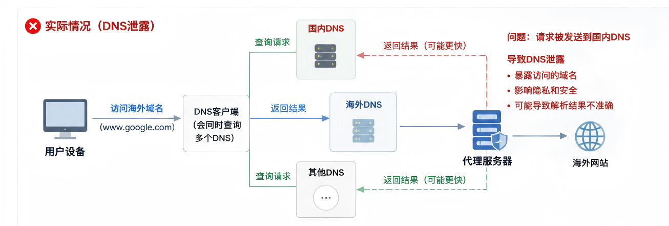 图2 DNS泄露